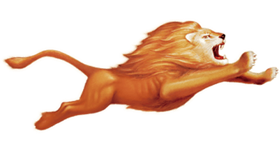 猛獅新能源