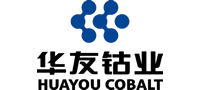 浙江華友鈷業(yè)股份有限公司