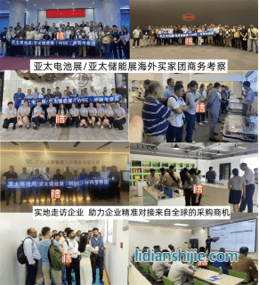 亞太儲(chǔ)能技術(shù)及應(yīng)用展