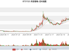 天宏鋰電873152